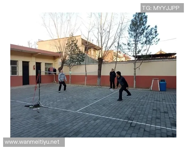 羽毛球纪实成都羽毛球队逆袭之旅与欧冠足球的激情碰撞