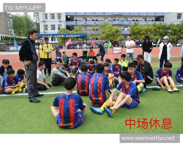 南京足球队运营分析及其成败经验总结