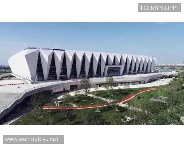 体育实时数据西安乒乓球队的崛起之路：从默默无闻到世界杯舞台的辉煌历程