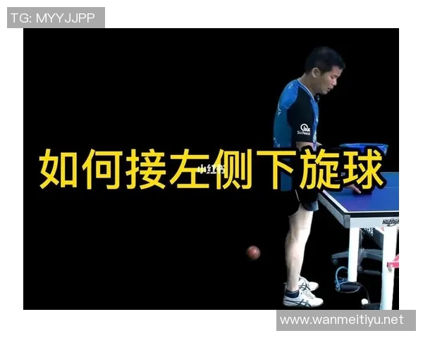 运动数据乒乓球战术解析深入探讨杭州乒乓球队的区域防守策略与实践